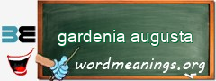 WordMeaning blackboard for gardenia augusta